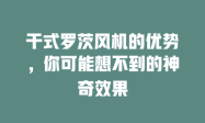 干式罗茨风机的优势，你可能想不到的神奇效果