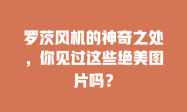 罗茨风机的神奇之处，你见过这些绝美图片吗？