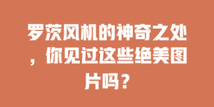 罗茨风机的神奇之处，你见过这些绝美图片吗？