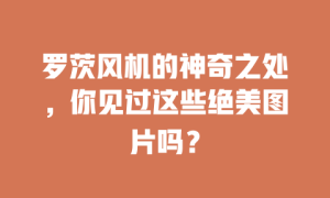 罗茨风机的神奇之处，你见过这些绝美图片吗？