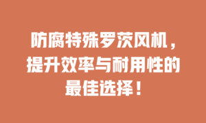 防腐特殊罗茨风机，提升效率与耐用性的最佳选择！